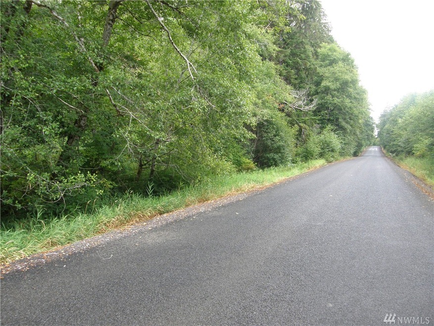 0 Elkhorn Rd, Raymond, WA 98577 - photo 1