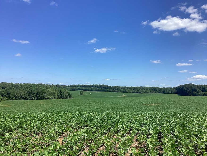 0 Swor Rd, Springville, TN 38256 - photo 1