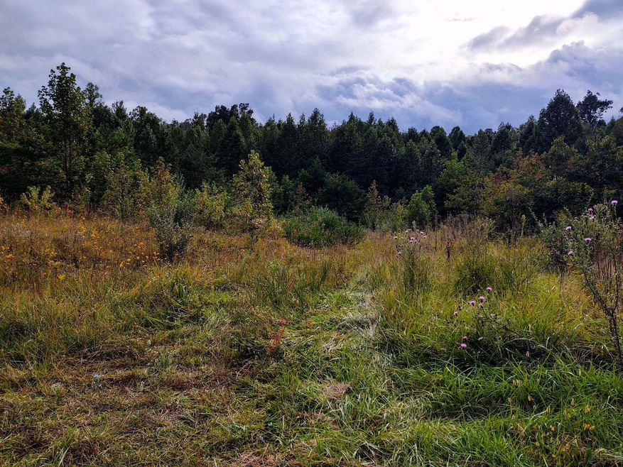 IMG_20200925_173333600_HDR (4)