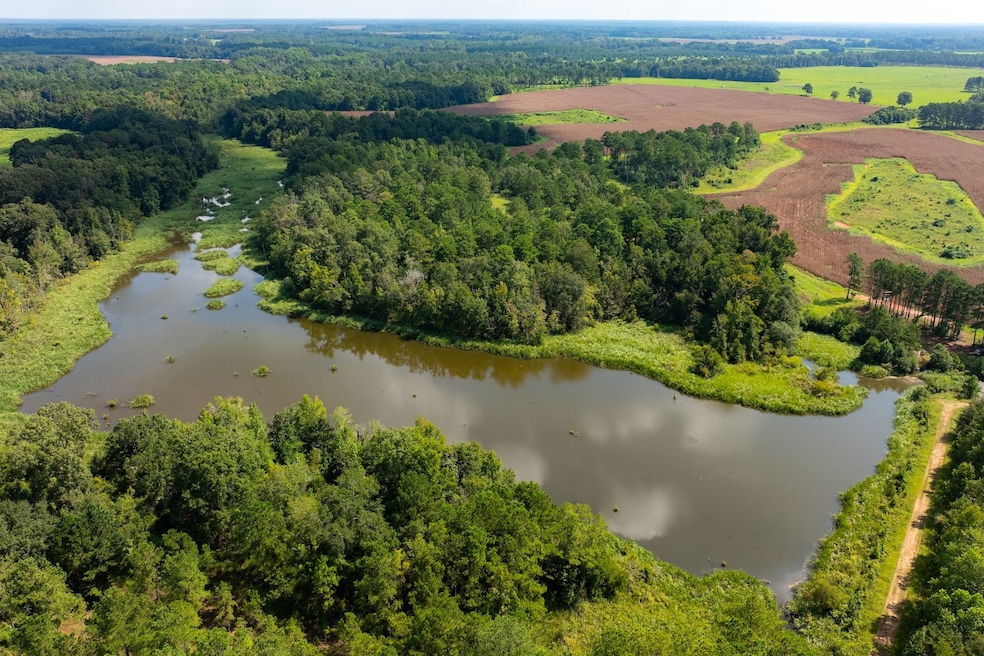 Gin Pond, Bluffton, GA 39824 - photo 1