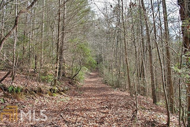 0 Yahoola Indian Rd unit 8536663, Dahlonega, GA 30533 - photo 1