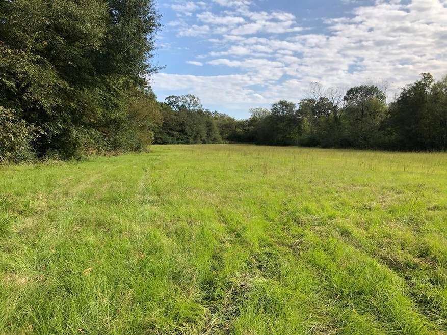 81.15 ac U S 59, Nacogdoches, TX 75965 - photo 1