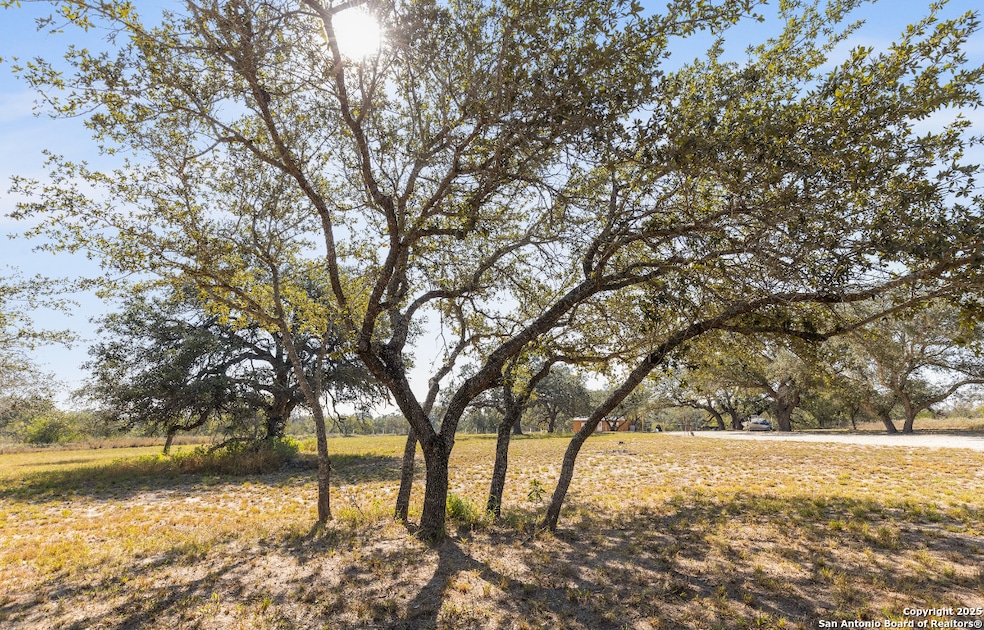 1304 County Road 777, Devine, TX 78016 - photo 1