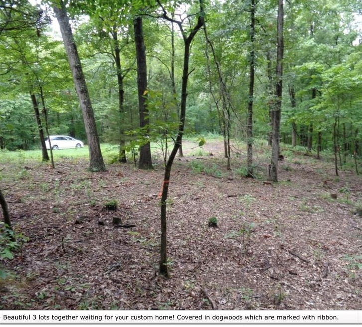 0 Clivenden Ln unit 1166638, Bella Vista, AR 72714 - photo 1