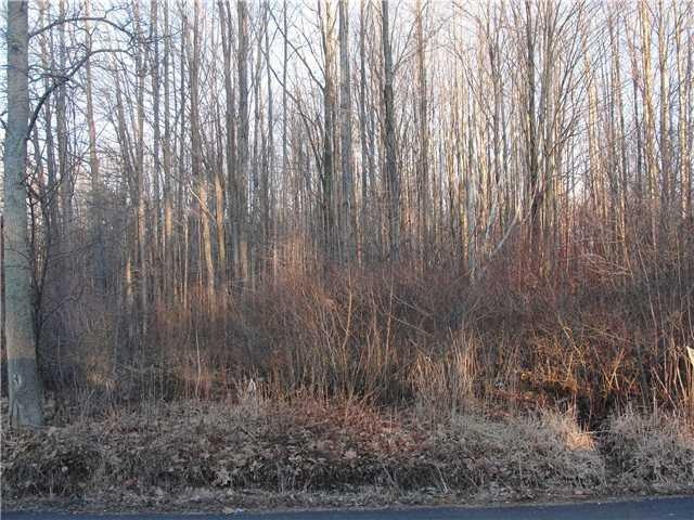 Land/Lot