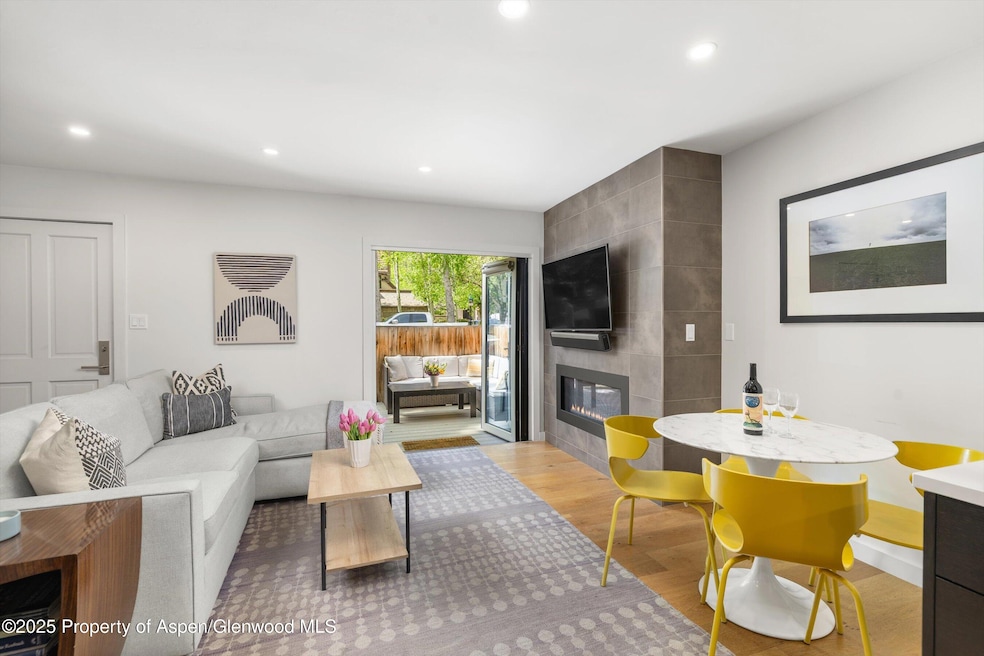 250 S Original St unit B, Aspen, CO 81611 - photo 1