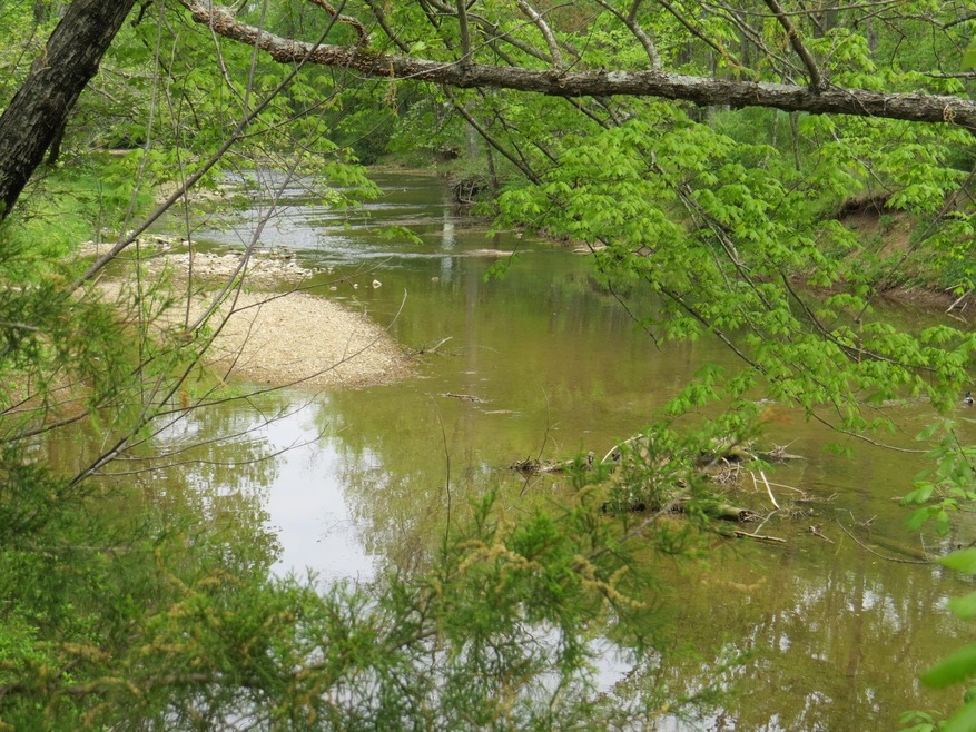 View of Drakes Creek looking North from property