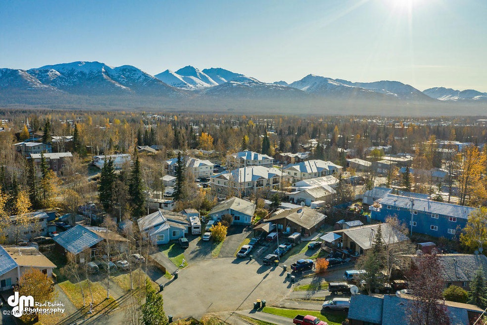Aerials MS_97141-SMALL