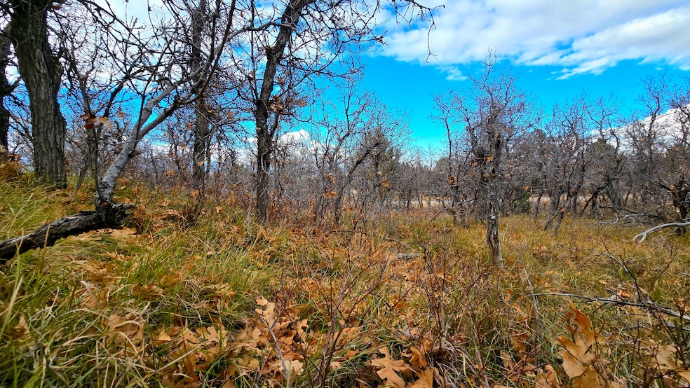 138 Phase 3 Section A unit 138, Mount Pleasant, UT 84647 - photo 1