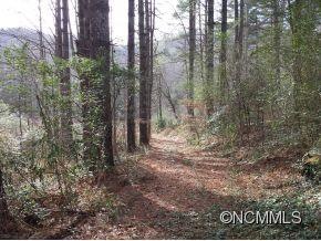 9999 Little Lake Rd, Etowah, NC 28729 - photo 1