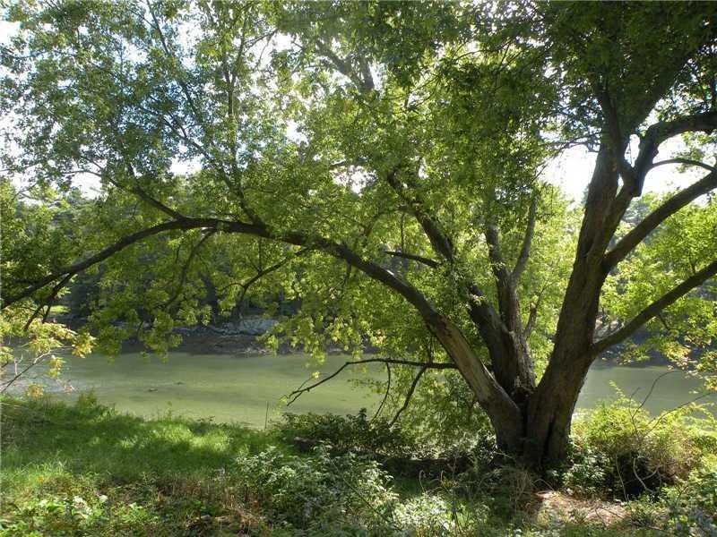 68 Chauncey Creek Rd, Kittery Point, ME 03905 - photo 1