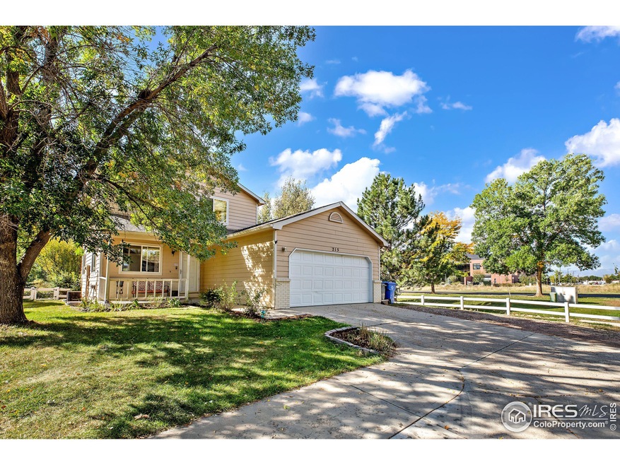 WELCOME TO 215 Calcite Ct!