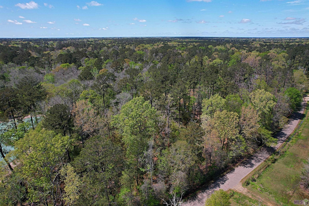 TBD Tyler Ballard Rd, Walker, LA 70785 - photo 1