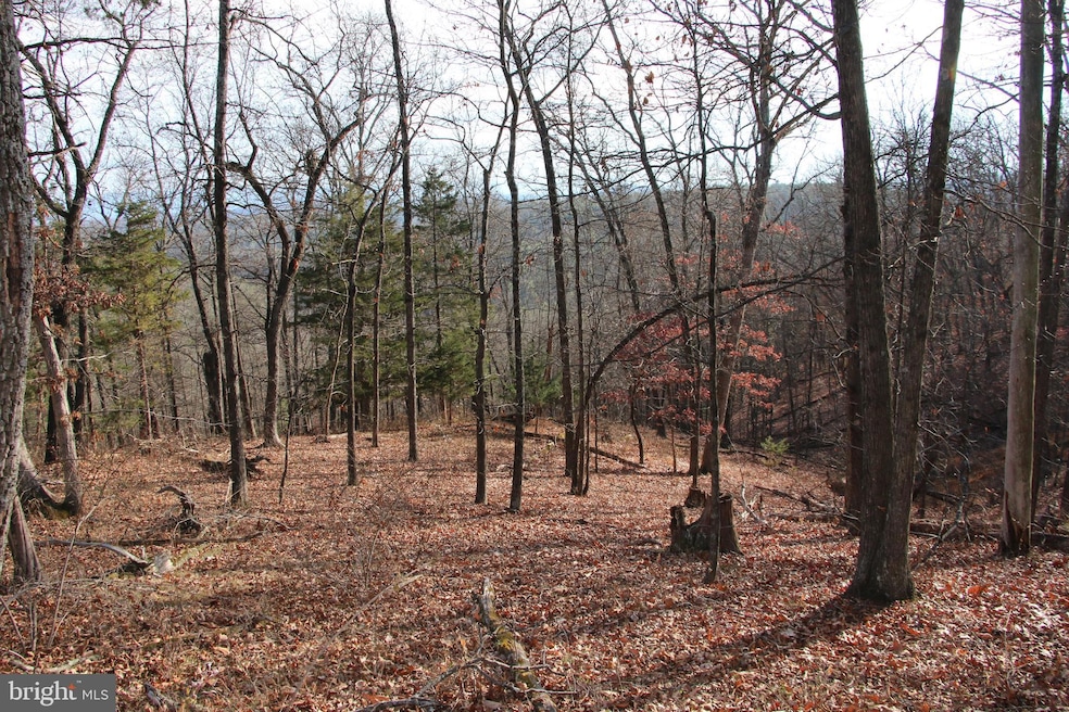 0 Supinlick Ridge Rd unit VASH2013102, Mount Jackson, VA 22842 - photo 1