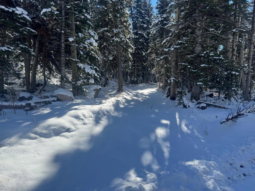 0 Falcon Ct unit CBME unit c lots 68, Brian Head, UT 84719 - photo 1