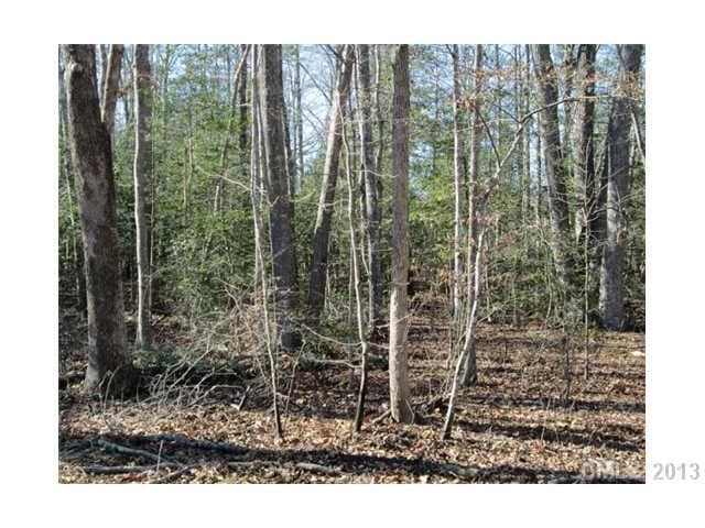 Land/Lot - Lovely Private wooded lot