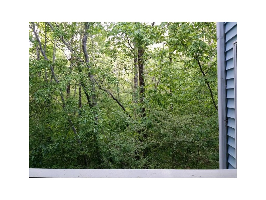 Your private view of this 'rain forest' in Peachtr