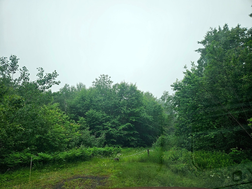 Lot 2-12 Diamond Match Rd, Milo, ME 04463 - photo 1