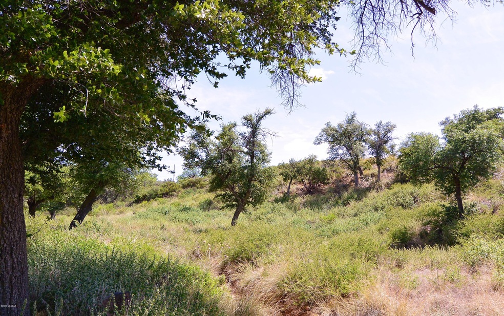 DSC_2348 (2)