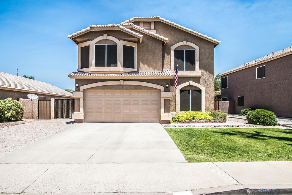 Lobo Ave-1
