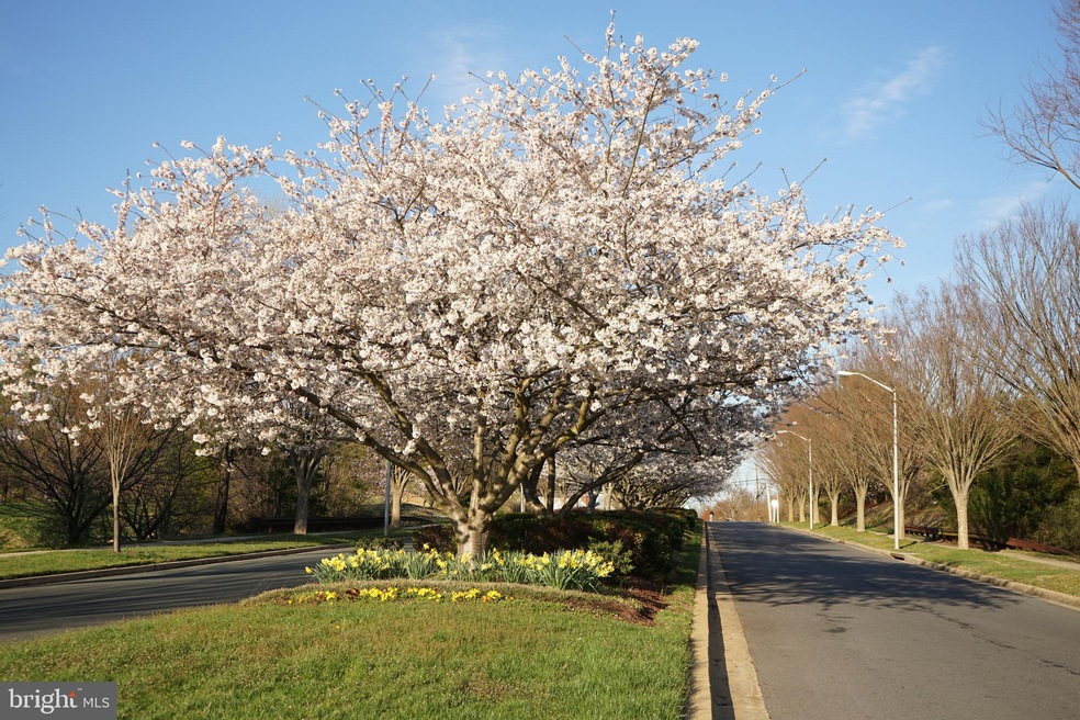 16609 Cypress Bay Ln, Ashton, MD 20861 - photo 1