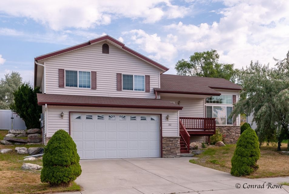 312Butcup-1803