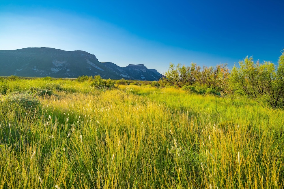 Bandera Ranch, Marfa, TX 79843 - photo 1