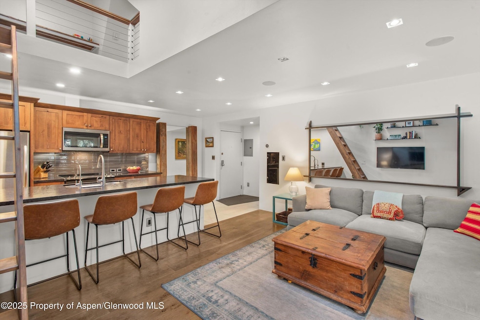 910 W Hallam St unit 11, Aspen, CO 81611 - photo 1