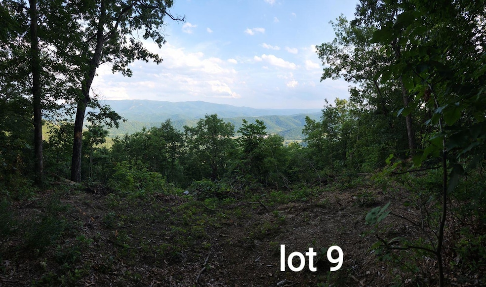 3280 Reese Mountain Rd, Elliston, VA 24087 - photo 1