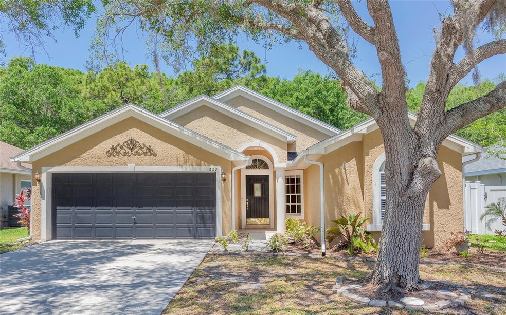 329 Tavernier Dr, Oldsmar, FL 34677 - photo 1