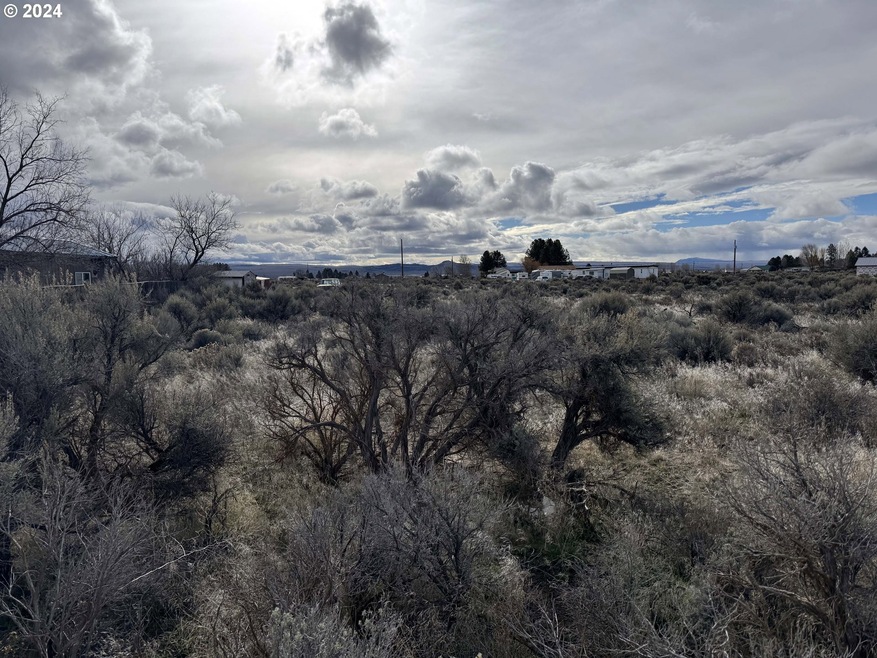 0 SE Cypress St unit 1200 24454958, Christmas Valley, OR 97641 - photo 1