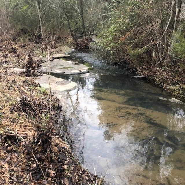 1310 Pickle Rd, Petersburg, TN 37144 - photo 1