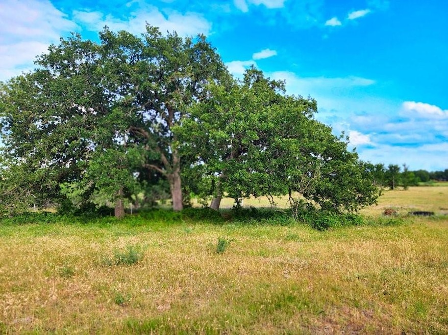 212 Private Road21282, Whitney, TX 76692 - photo 1