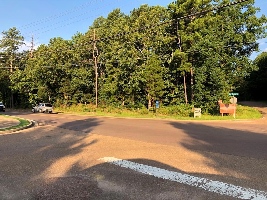 303 Taylor Bend, Oxford, MS 38655 - photo 1