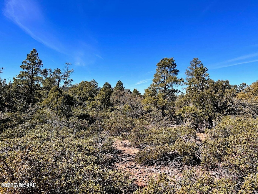 1985 S Twin Peak Trail unit 392, Show Low, AZ 85901 - photo 1