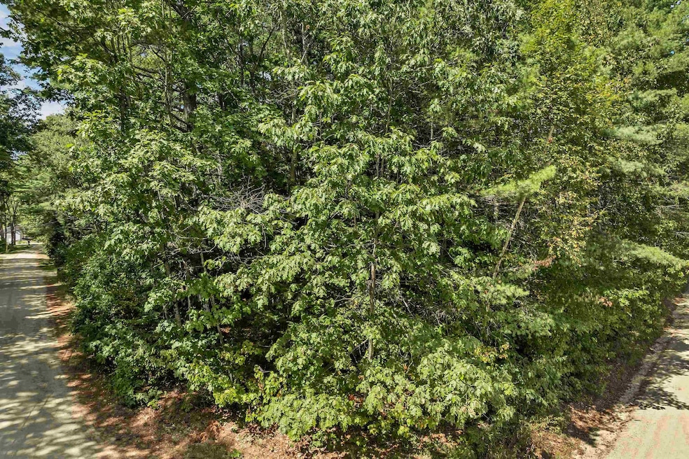 0 Andover Dr unit 106 5059711, Barnstead, NH 03225 - photo 1