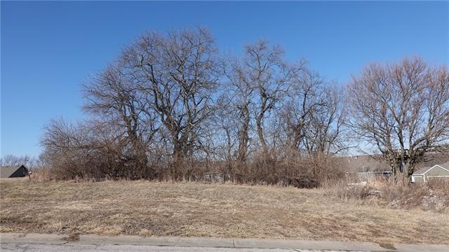 704 Ridge Crest Dr, Raymore, MO 64083 - photo 1