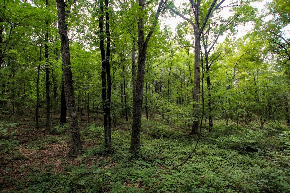 000 Merryman Rd, Formosa Township, AR 72031 - photo 1