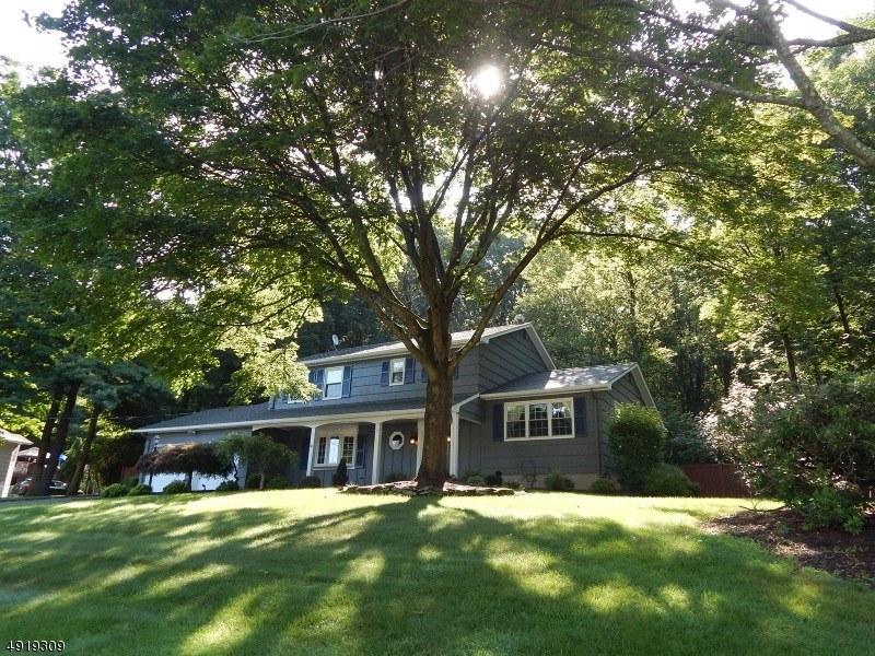 23 Mildred Terrace, Flanders, NJ 07836 - photo 1