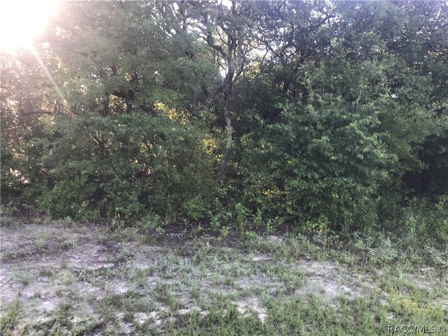 2792 W Forbes Place, Citrus Springs, FL 34434 - photo 1