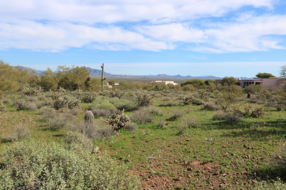Lot Looking E