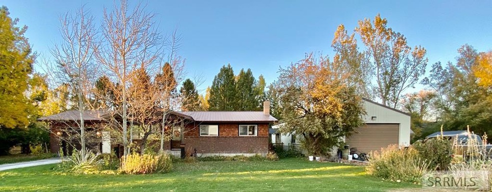 Main View