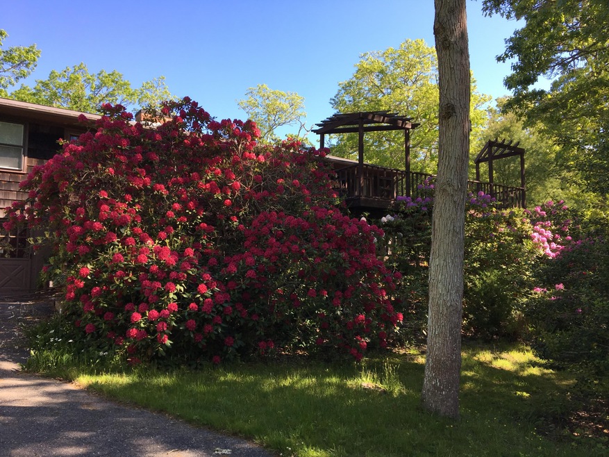 66 Jernegan Pond Rd, Edgartown, MA 02539 - photo 1