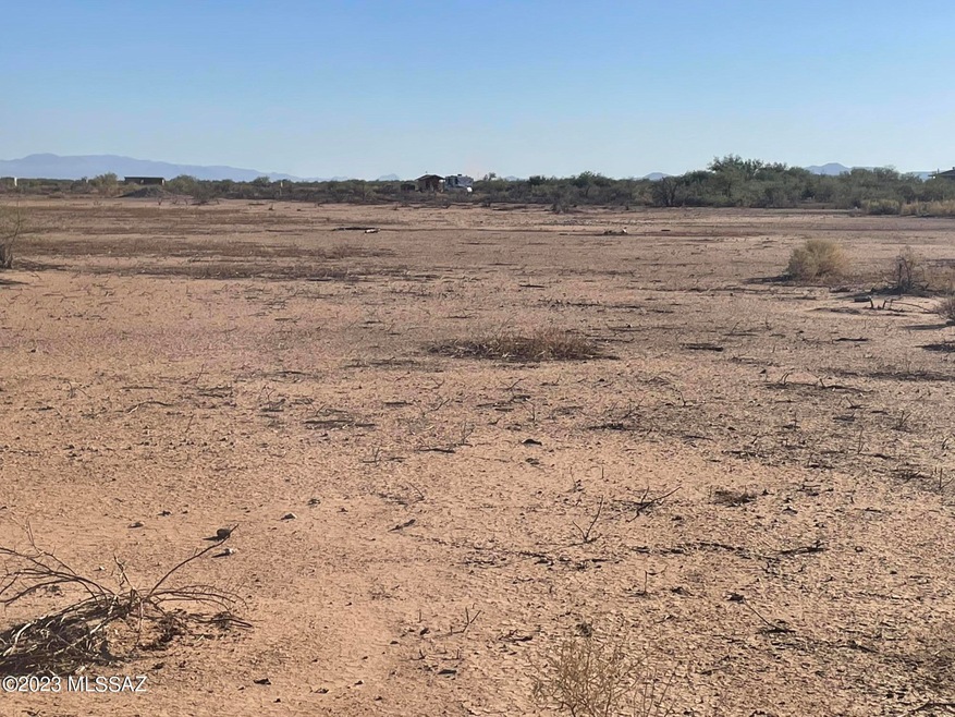 ghostP02IMG_1939 - Copy