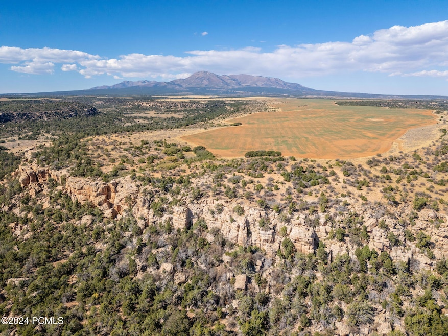 0 E Long Point Rd, Monticello, UT 84511 - photo 1