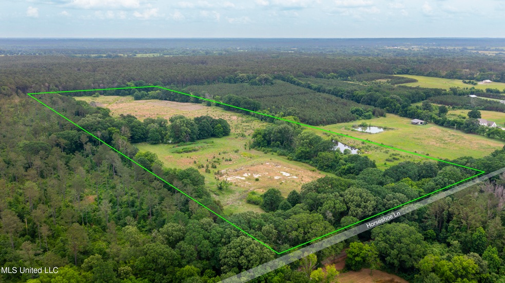 45 Acres Horseshoe Ln-3a