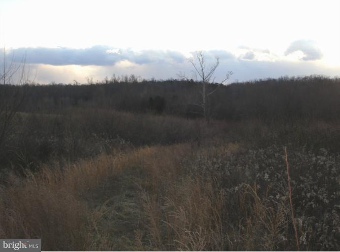 5 Cedar Spring Ln, Culpeper, VA 22701 - photo 1