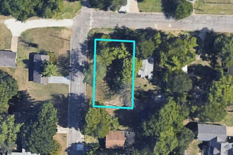 .21+/- Mina Ave, Joplin, MO 64801 - photo 1