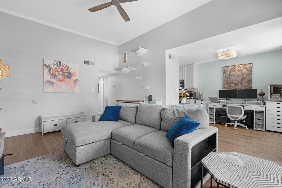 Open Plan Living