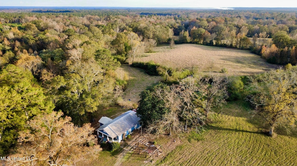 3142 King Rd, Wesson, MS 39191 - photo 1